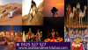 Photo for Desert Safari Dubai