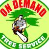 Photo for On Demand Tree Service