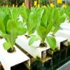 Photo for Truckee Horticulture Center