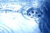 Photo for H2O Services