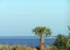 Photo for Condo: 1 Bedroom, 1 Bathroom, Sleeps 4