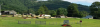 Photo for Cove Creek Industries