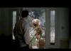 Photo for The Orkin Man - 