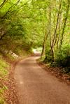 Photo for Greenville Hospice Senior Solution Advisor (SSA) Shares Continuing Journey