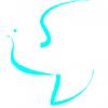 Photo for Sense Massage Therapy