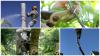 Photo for Lumberjack Tree Service