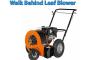 Photo for Best Walk Behind Blowers Buying Guide with ISS-GO.