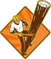 Photo for Cape Coral's Tree Service
