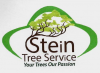 Photo for Tree Services in Wilmington, Delaware
