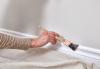 Photo for SP Painting, Inc.