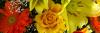 Photo for Meadows Florist, Proudly Serving Toledo Since 1979! - Flower Delivery & Online Services - 43623