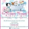 Photo for Get  the best dog grooming services in London