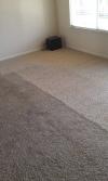 Photo for Carpet Cleaning Services