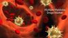 Photo for Multiple Myeloma Drugs Market - Global Trends – 2025