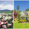 Photo for Best Lawn Care