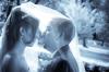 Photo for wedding movies at digital dream/films