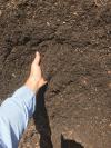 Photo for Soil Conditioner
