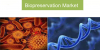 Photo for Biopreservation Market — Global Outlook 2017–2025