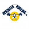 Photo for Hercules Roofing