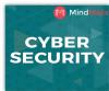 Photo for It's All About Cyber Security In Texas