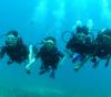 Photo for Scuba Dive Packages - Goa