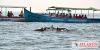 Photo for Grand Island Boat Tour - Goa