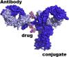 Photo for Antibody Drug Conjugates Market —  Global Trends, 2016–2024
