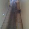 Photo for SJ D&D Carpet Care