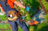 Photo for Stephens Enterprise Lawn & Landscaping Service LLC