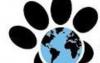 Photo for World of Animals Elkins Park