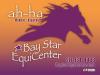 Photo for Equine Assisted Learning for Businesses