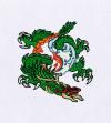 Photo for Dragons Embroidery Designs