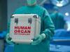 Photo for Growing Population With Organ Failure Is The Important Factor Driving The Growth Of Organ Transplant Market