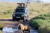 Photo for Uganda Safari Holidays