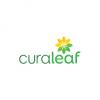 Photo for Curaleaf