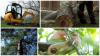 Photo for A&N Quality Tree Service