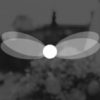 Photo for Talking Fly