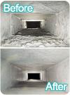 Photo for Houston carpet cleaning services