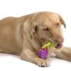 Photo for Pet Nest