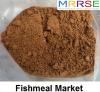 Photo for Global Fishmeal Market to Exhibit a CAGR of 5.2% Through 2027