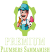 Photo for Premium Plumbers Sammamish