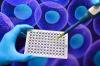 Photo for Scaffold Based Segment Holds The Largest Share In The 3d Cell Culture Market