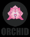 Photo for Erotic Orchid