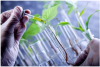 Photo for New report shares details about the Green And Bio Polyols Market