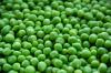 Photo for Global Protein Ingredients Market will Reach US$59 billion by 2025