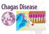 Photo for Chagas Disease Treatment Market - Global Industry Insights, Trends, and Opportunity Analysis, 2017-2025