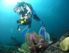Photo for Global Underwater Exploration Market 2017 Forecast to 2022