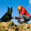 Photo for Windy Ridge Kennel