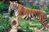 Photo for Rajasthan City Day Tour