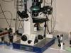 Photo for In-vitro Fertilization Devices Market - Global Outlook, 2017 - 2025
